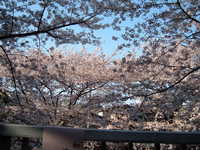  dscf0556.jpg 