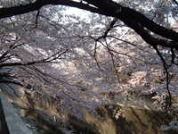  dscf0557.jpg 
