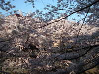  dscf0558.jpg 
