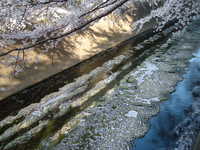  dscf0560.jpg 