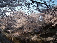  dscf0562.jpg 