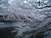  dscf0563.jpg 