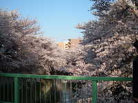  dscf0564.jpg 