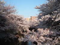  dscf0565.jpg 