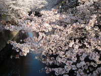  dscf0566.jpg 