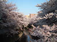  dscf0567.jpg 