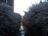  dscf0568.jpg 