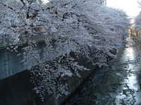  dscf0569.jpg 
