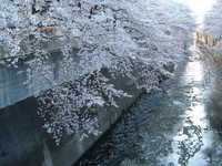  dscf0570.jpg 