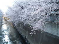  dscf0571.jpg 