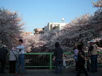  dscf0572.jpg 
