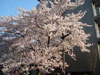 dscf0573.jpg 