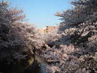  dscf0574.jpg 