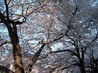  dscf0575.jpg 