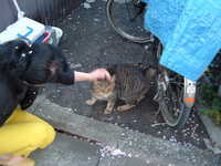  dscf0577.jpg 
