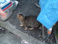  dscf0578.jpg 