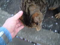  dscf0579.jpg 
