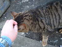  dscf0580.jpg 