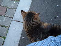  dscf0581.jpg 