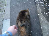  dscf0582.jpg 