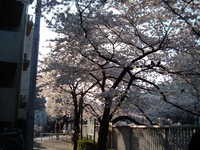  dscf0583.jpg 
