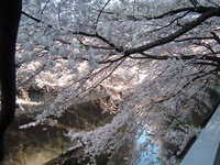  dscf0585.jpg 