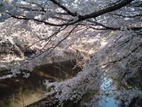  dscf0586.jpg 