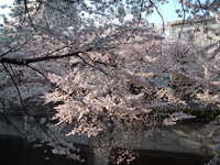  dscf0587.jpg 