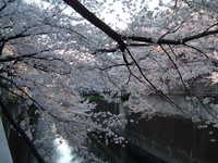  dscf0588.jpg 