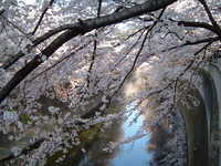  dscf0589.jpg 