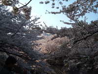 dscf0592.jpg 