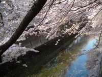  dscf0594.jpg 