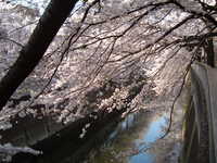  dscf0595.jpg 