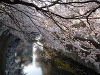  dscf0596.jpg 