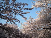  dscf0597.jpg 