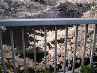  dscf0598.jpg 