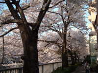  dscf0599.jpg 