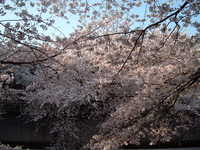  dscf0600.jpg 