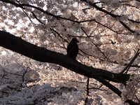  dscf0601.jpg 