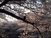  dscf0602.jpg 