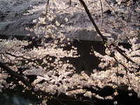  dscf0603.jpg 