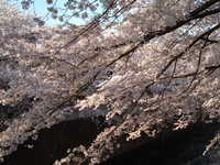  dscf0604.jpg 