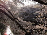  dscf0605.jpg 
