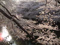  dscf0606.jpg 