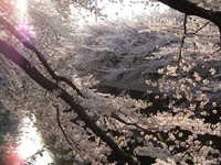  dscf0607.jpg 