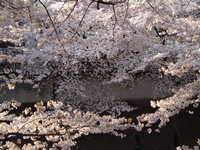  dscf0608.jpg 