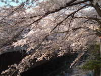  dscf0609.jpg 