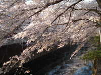 dscf0610.jpg 
