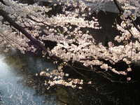  dscf0611.jpg 