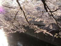  dscf0612.jpg 